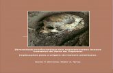 Diversidade morfocraniana dos remanescentes ósseos humanos da Serra da Capivara: implicações para a origem do homem americano.
