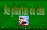 As Plantas De Chá