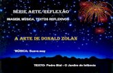 DONALD ZOLAN -ARTE