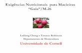 Palestra nutrientes cheng and robinson português