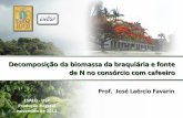 José Laércio Favarin -  Decomposição da biomassa da braquiária e fonte de N no consórcio com cafeeiro