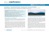 Um9021 Xebec Case Study 01 Bgx Solutions