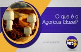 Benefícios do cogumelo Agaricus blazei