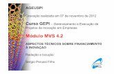 Mvs 4.2   aspectos técnicos sobre financiamento a inovaçao