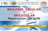 Biologia celular y molecular 12 semana