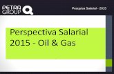 PETRA GROUP - Panorama salarial 2015  setor oil & gas
