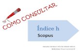 Tutorial: Consulta Índice h na "Scopus"