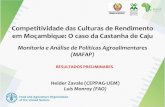 Competitividade das Culturas de Rendimento em Moçambique: O caso da Castanha de Caju