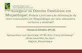 Assegurar os Direitos Fundiários em Moçambique: Poderá a iniciativa de delimitação da terra comunitária em Moçambique ser uma alternativa inclusiva e rentável?