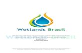 Boletim wetlands brasil   n.2 - dezembro 2014