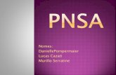 Programa Nacional de Seguridade Aviaria - PNSA