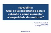 Ensino Online: Stayability - Qual é sua importância para o rebanho e como aumentar a longevidade das matrizes