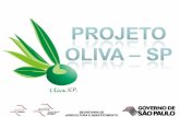 Projeto Oliva SP - ExpoAzeite 2011