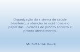 Organização do sistema de saúde brasileiro, a atenção às urgências e o papel das unidades de pronto socorro e pronto atendimento