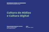 Cultura de Mídias e Cultura Digital