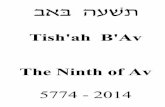 Rabbi Em Tisha b'av 2014