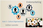 Endomarketing e cultura organizacional   aula 3