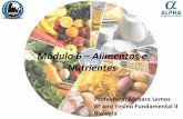 Módulo 6 – alimentos e nutrientes