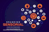 Apresentação TCC - Branding Sensorial, o despertar de um mercado sensível