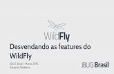 JBUG Brasil - Desvendando as features do WildFly.