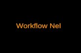 Workflow && t1k