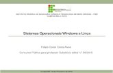 Sistemas Operacionais Windows e Linux