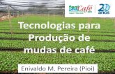 Tecnologias para Produção de Mudas de Café - Emivaldo Pioi Fenicafé 2015 - pioi