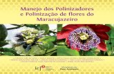 Claudia Inês da Silva - Manejo dos Polinizadores e Polinização de flores do Maracujazeiro