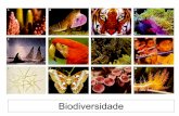 Biodiversidade e ambientes biomas