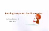 Patología aparato cardiovascular 2015 1