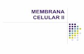 10 membrana celular2[1]