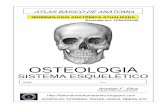 Apostila anatomia-sistema-esqueletico-130205085859-phpapp01