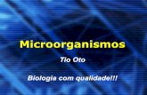 Microorganismo prof Oto