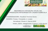 Rosilene Moura - “Histórico E Situação Atual Da Produção Integrada Da Cadeia Agrícola” - Boas Práticas Agropecuárias e Produção Integrada - De 11 a 14 de novembro de