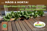 Workshop bio-hortas em apartamentos