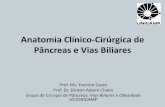 Anatomia clínico cirúrgica de pâncreas e vias biliares