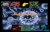 Biotecnologia - Organismos Geneticamente Modificados - OGM'S