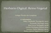 Herbário Digital