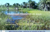 Programa produtor de água - ANA - Agência Nacional de Águas  rossini - fenicafé 2015
