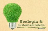 Ecologia  sustentabilidade 2