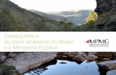Marcelo Matta - Tutela jurídica do meio ambiente no Brasil e o Ministério Público