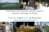 Prof. Dr. Edgar Gomes Ferreira de Beauclair – ESALQ/USP – “Panorama Geral.”