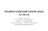 Touros Canchim Canta Galo 171014