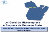 Lei  Geral Monte Alegre- Pará - 2015