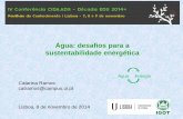 Painel IV - A água e a energia: Água: desafios para a sustentabilidade energética– Catarina Ramos (IGOT/CEG /SLIF, Univ. Lisboa)