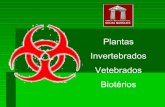 biossegurança plantas