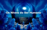 Os sete niveis_do_ser_humano