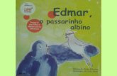Edmar, o passarinho albino (Ilustrações)