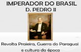 Dom Pedro II 801