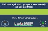 Cultivos agrícolas, pragas e seu manejo no Sul do Brasil